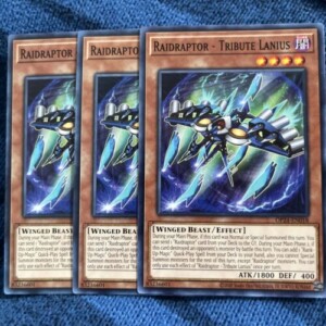 Raidraptor - Tribute Lanius - OP24-EN018 - Common - NM 3x | Tuloimportas.com