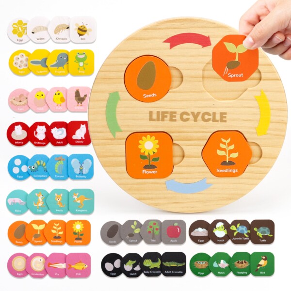 Woodtoe Life Cycle Toys para niños, 12 temas Montessori Preescolar Centro de Ciencias Materiales, Aprendizaje de Madera y Juguetes Educativos para Niños Pequeños, Juego de Aprendizaje Juguete de Viaje Cumpleaños para Niños Niñas de 3 a 6 años | Tuloimportas.com