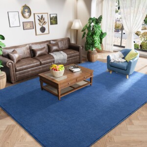 Alfombras de la zona moderna de amearea para sala de estar de dormitorio, alfombra de espuma de memoria engrosada de 4x6 pies, alfombra de espuma de color azul espesado, esponjosas alfombras para lavables en interiores, alfombra minimalista para niños decoración de la sala de guardería para niños para niños | Tuloimportas.com