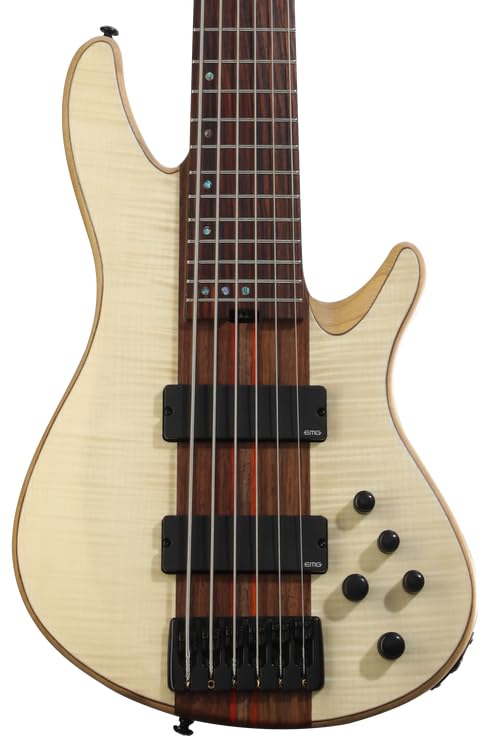 Schecter Charles Berthoud CB-6 6-string Electric Bass - Natural Satin